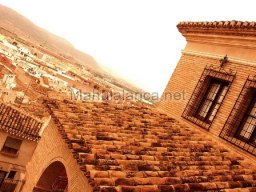 Mula Antigua serie-2